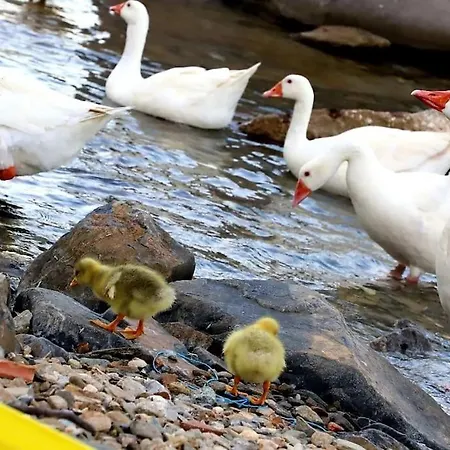 Holiday home Korthaki Beach House Οικογενειακή Villa στη θάλασσα