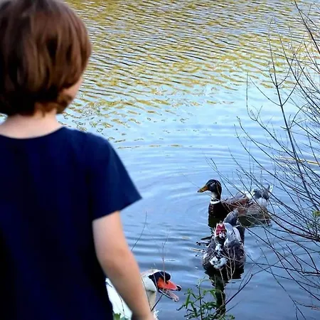 Korthaki Beach House Οικογενειακή Villa Στη Θάλασσα Órmos