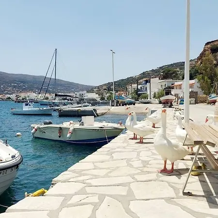 Korthaki Beach House Οικογενειακή Villa στη θάλασσα Casa vacanze Ormos (Andros)