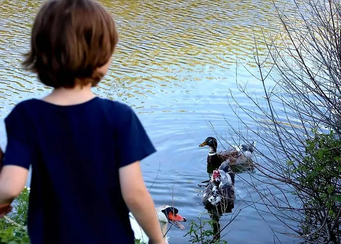 Korthaki Beach House Οικογενειακή Villa Στη Θάλασσα Ormos (Andros)